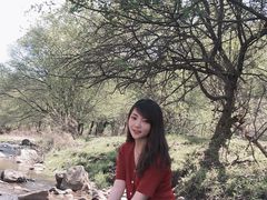-关山草原