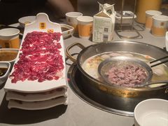 -潮发潮汕牛肉店(东方宝泰店)