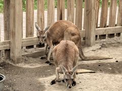 -水上乐园·欢乐世界