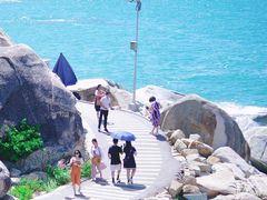 -广东惠东海龟国家级自然保护区