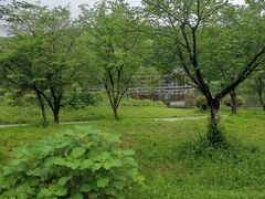-石峰公园