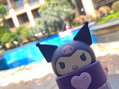 -上海浦东星河湾酒店