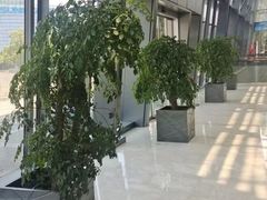 -玄武苏宁诺富特酒店·紫金轩中餐厅