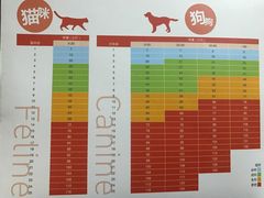 -爱侣宠医·鹦鹉专科·小型哺乳类·异宠专科(灵石路店)