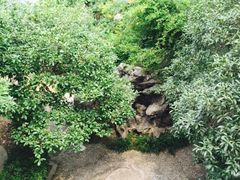 -苏州东山雕花楼宾馆