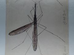 -上海当代艺术博物馆