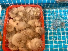 -鹰龙海畔度假酒店(咸祥店)