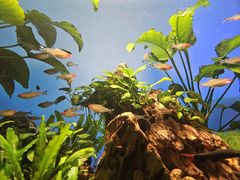 -太平洋海底世界