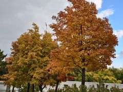 -长春世界雕塑园冰雪艺术天地