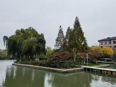 -青枫公园