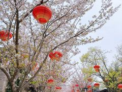 -回龙窝历史文化街区