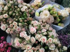 -三圣花乡旅游区