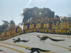 -西双版纳原始森林公园