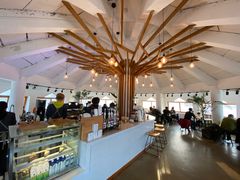 -ChanDu躔度咖啡(灯塔店)