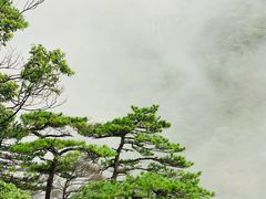 -萍乡武功山风景名胜区