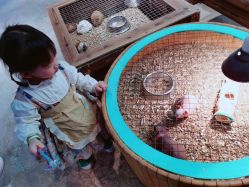 -酷嗒动物文化乐园(cutezoo西溪乐天城店)