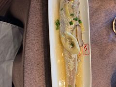 -巨鹿春晓(静安寺店)