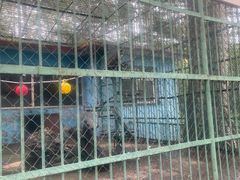 -秦皇岛野生动物园