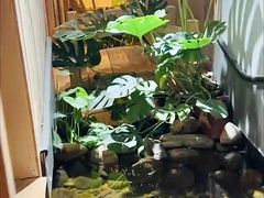 -邈墨茶馆(凤起路店)