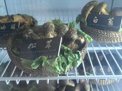 -爱膳菌锅锅(阳南店)
