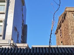 -景秀餐厅(南锣鼓巷店)
