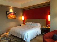 -南京维景国际大酒店(南京博物院店)