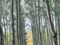 -仁和公园(顺义区)