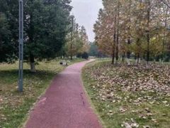 -两河城市森林公园