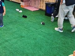 -万达广场(北京槐房店)