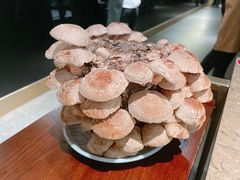 活体菌菇-捞王锅物料理(四川北路店)