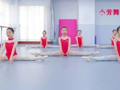 -小芳舞蹈团·少儿舞蹈·中国舞(龙江校区)