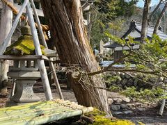 -白川乡与五箇山的合掌构造村落