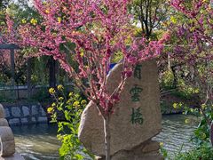 -南汇桃花村