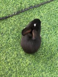 -萌宠亲子动物乐园(槐房万达店)