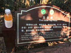 -缙云山景区
