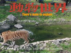 -西安秦岭野生动物园