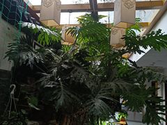 -楚畹园