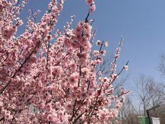 -江苏三台山国家森林公园