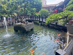 -猪肉婆私房菜(容桂总店)