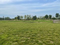 -汉长安城未央宫国家考古遗址公园