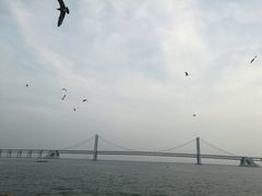 -星海湾跨海大桥