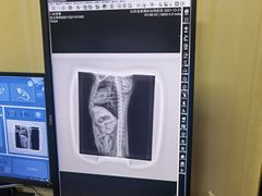 -宠爱国际动物医院· 猫科· 外科·中兽医(长白店)