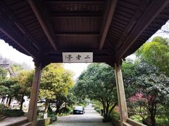 -龙井村
