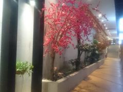 -丽池宫韩式汗蒸会馆(华灯坊店)