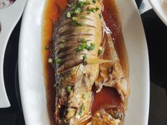 -城南往事•百年鲁菜(美食岛·东昌湖店)