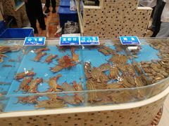 -双井轩(双井店)