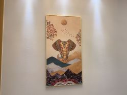 -雅曼妮spa美容养生