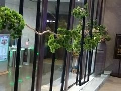 -星河湾温泉洗浴酒店