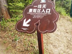 -汤旺河林海奇石景区