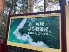 -三门江国家森林公园